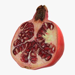 Pomegranate Half 01