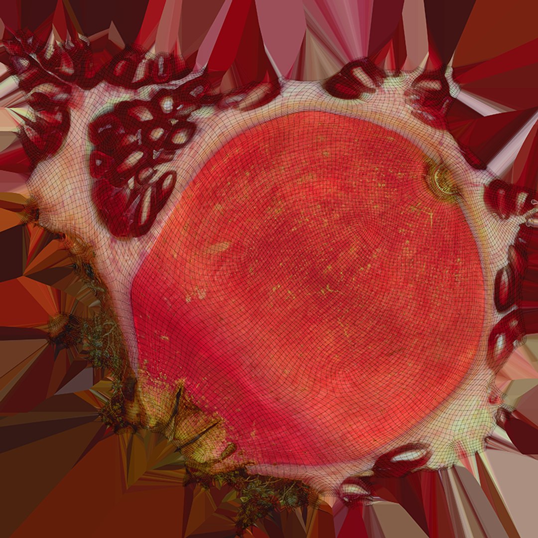 Pomegranate Half 01 3D model https://p.turbosquid.com/ts-thumb/DT/hUABJN/84/halfpomegranate01_c0004/png/1761560971/1920x1080/fit_q87/7e06d9a5a87a06b3e00c644a89f02e6828e91407/halfpomegranate01_c0004.jpg