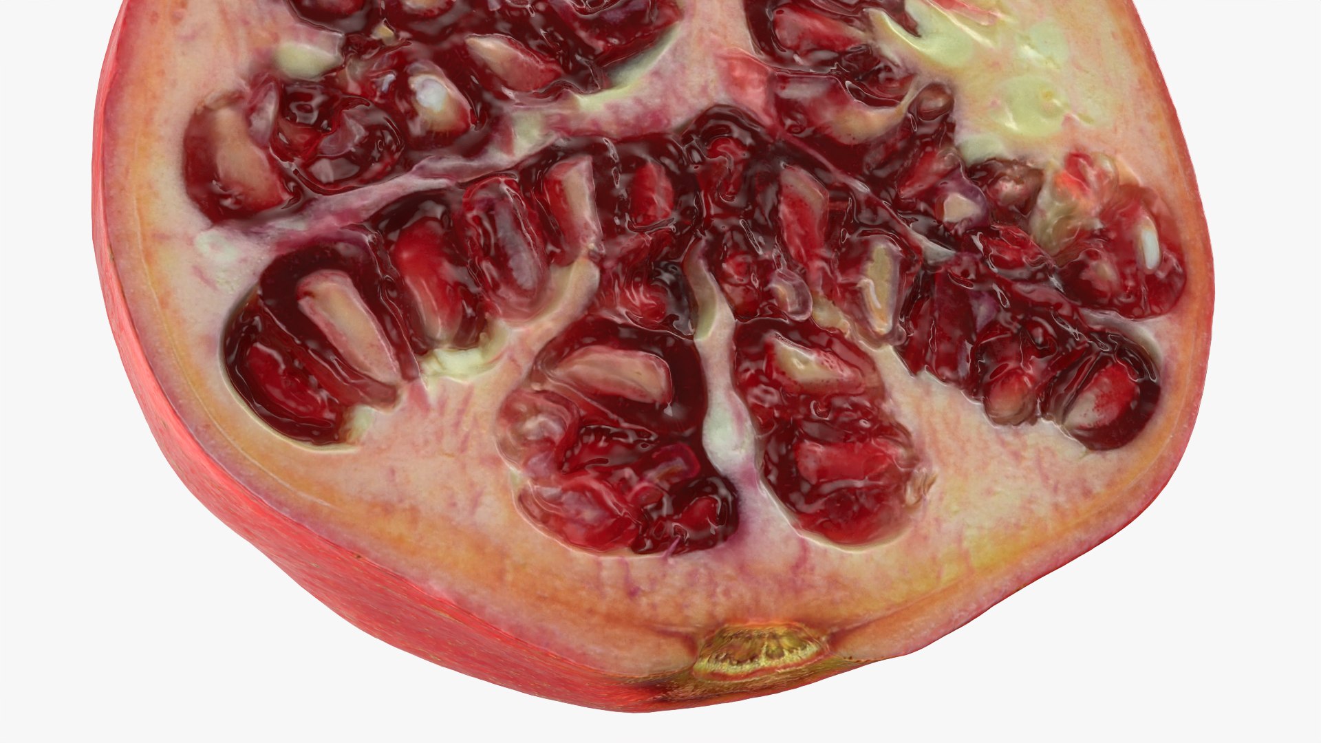 Pomegranate Half 01 3D model https://p.turbosquid.com/ts-thumb/DT/hUABJN/Bn/halfpomegranate01_0012/png/1761560971/1920x1080/fit_q87/481a5fda4388ff43e4477a4836d4aec60b5fd391/halfpomegranate01_0012.jpg