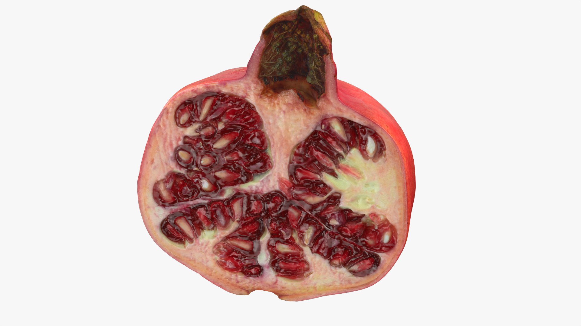 Pomegranate Half 01 3D model https://p.turbosquid.com/ts-thumb/DT/hUABJN/KY/halfpomegranate01_0006/png/1761560961/1920x1080/fit_q87/e09b755a62ccc58dcb93a6fe9e4449cafc732063/halfpomegranate01_0006.jpg