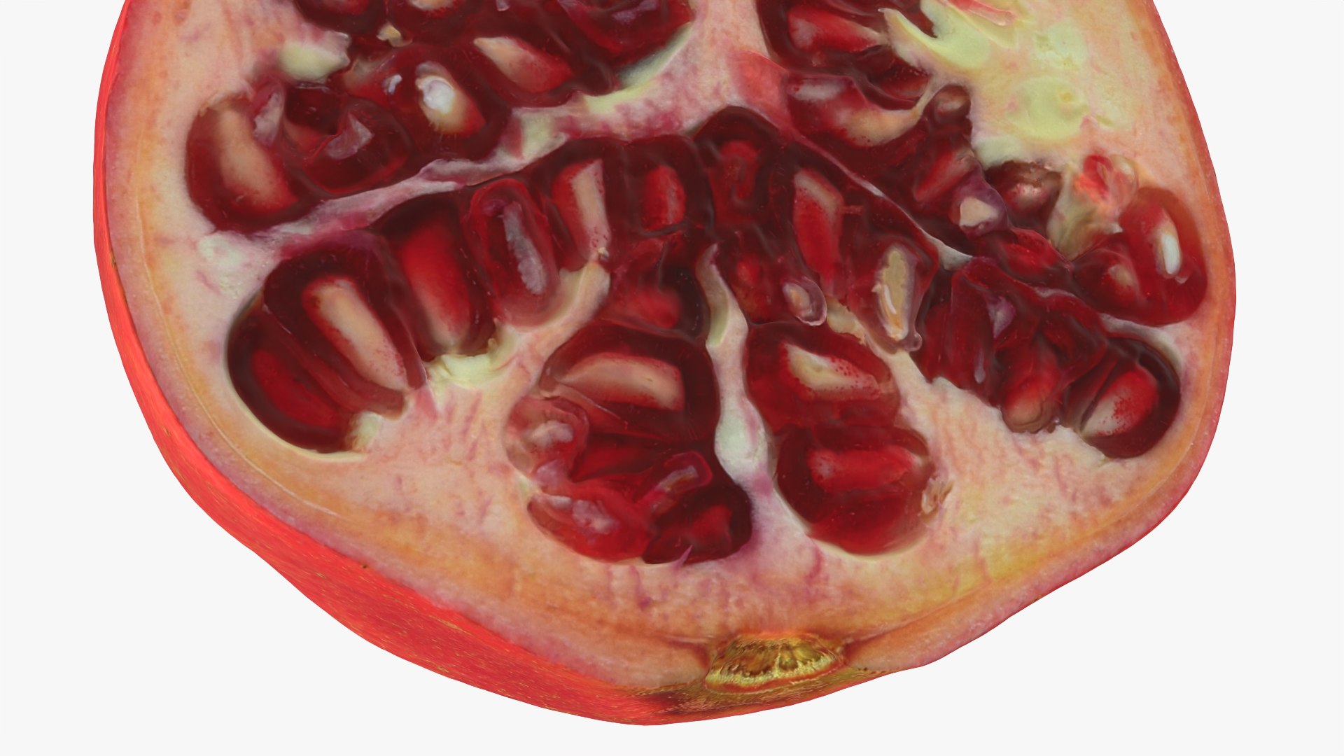 Pomegranate Half 01 3D model https://p.turbosquid.com/ts-thumb/DT/hUABJN/kD/halfpomegranate01_0012b/png/1761560979/1920x1080/fit_q87/8403d719a4f35e166f1c66d653d2543e7e0b378d/halfpomegranate01_0012b.jpg