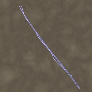 lunge whip zipped 3d model
