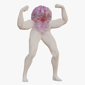 3D model Brain man