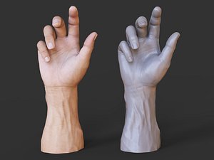 Male Hand Pose 03 3D model