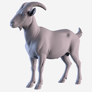 3D Nanny goat