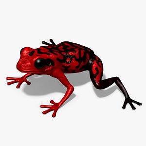 3D model Silverstones Poison Frog