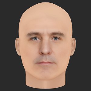 Low Poly Phillip Schurer Head 3D model