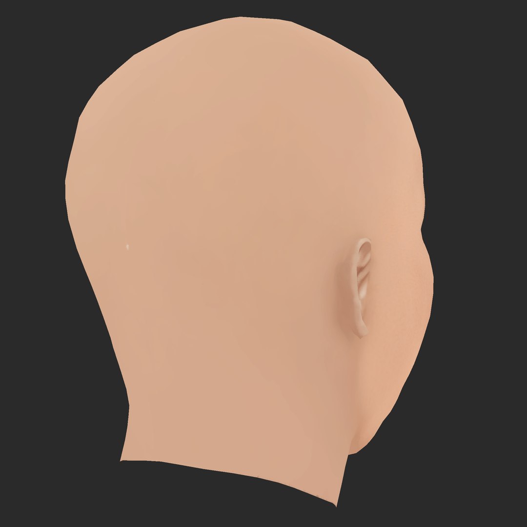 Low Poly Phillip Schurer Head 3D model https://p.turbosquid.com/ts-thumb/DU/GbQlhS/5X/05/png/1785635866/1920x1080/fit_q87/1be722c31dbed4b9d4dd64a9dbcf52be2a80901e/05.jpg