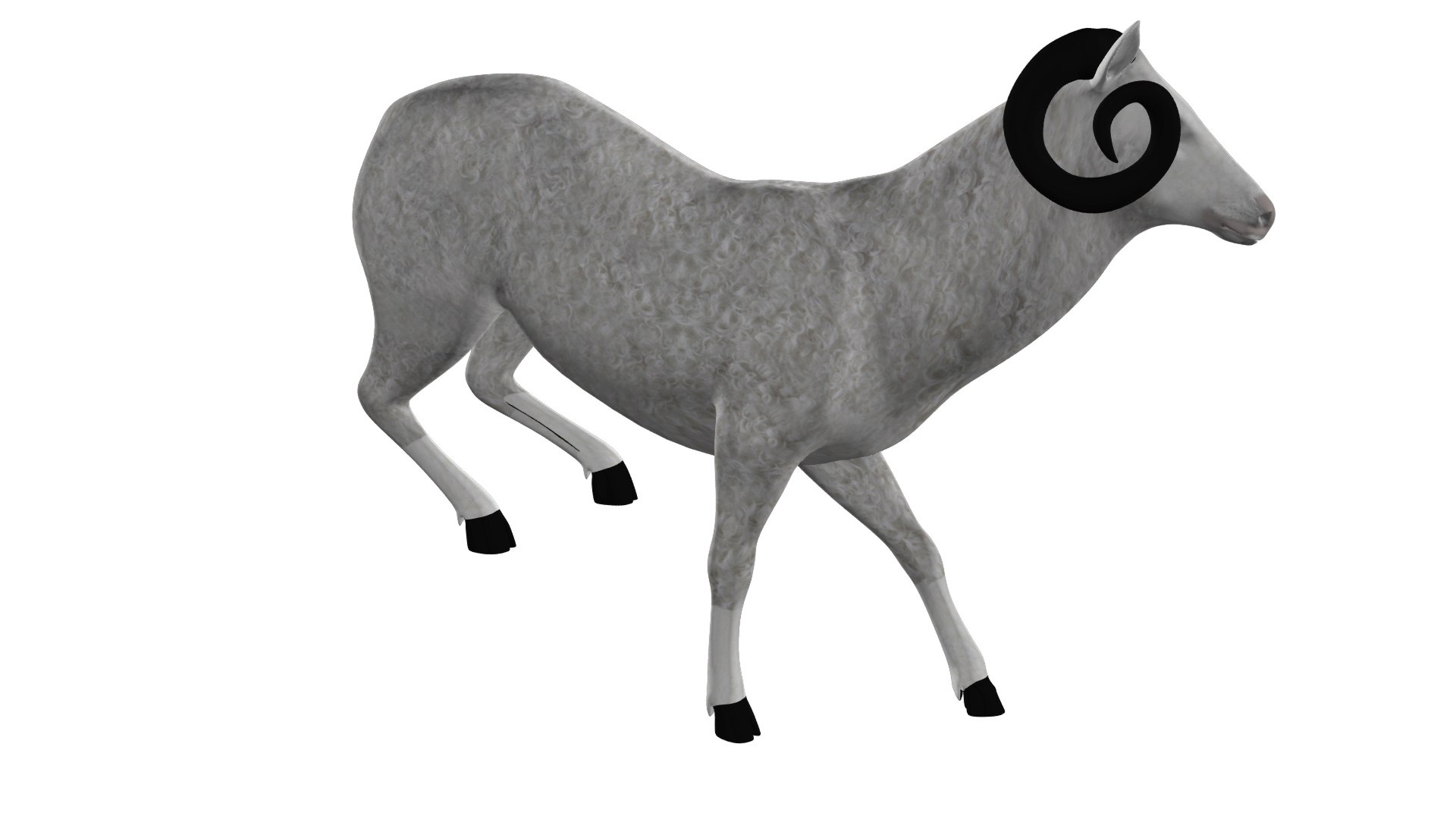 3D Rigged Sheep Animations - TurboSquid 1377046