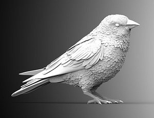bird crow sculpture 3D