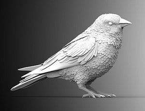 crow