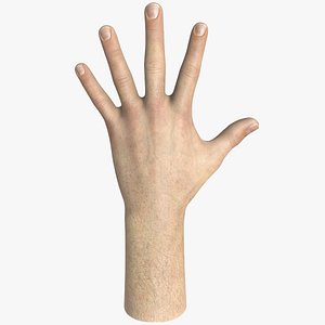 Male Hand 3d Model