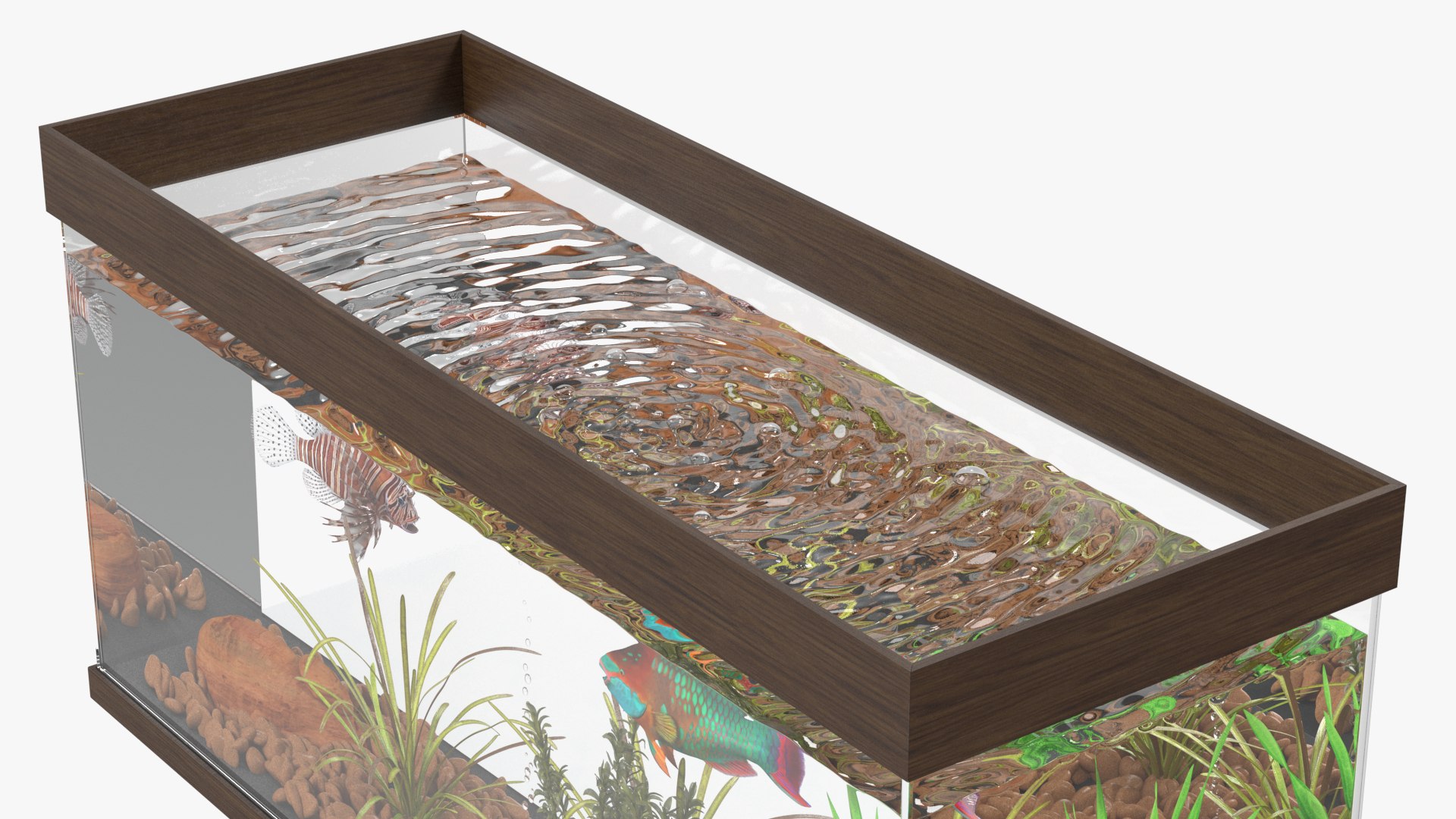 3D Fish Tank Wooden Long model https://p.turbosquid.com/ts-thumb/DU/W3aLOx/7c/fishtankwoodenlongvray3dmodel016/jpg/1714185242/1920x1080/fit_q87/789d032dc5de1a7fb8f6431b8d8e7046b61cf169/fishtankwoodenlongvray3dmodel016.jpg
