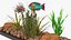Fish Tank Wooden Long(1)