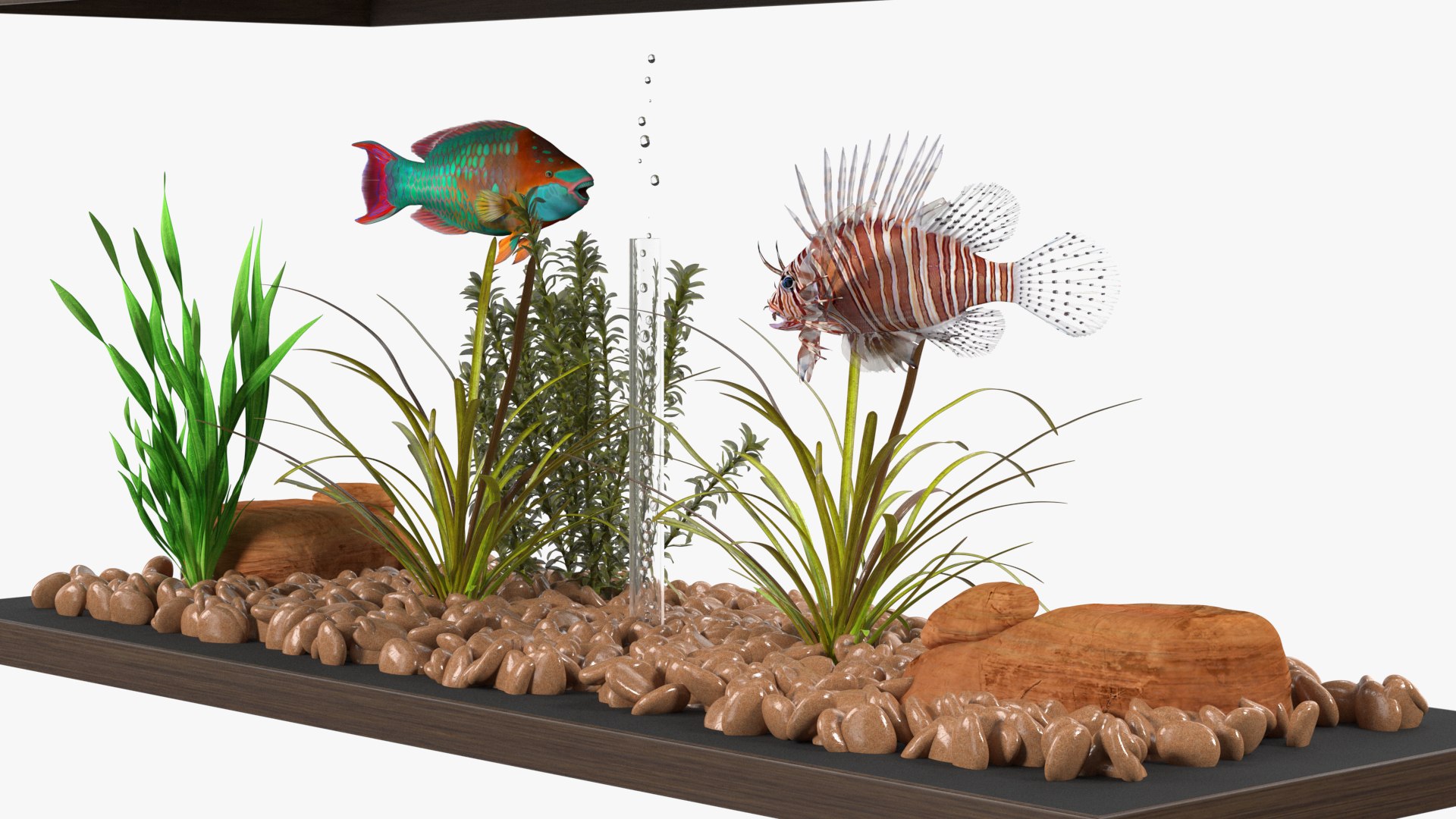 3D Fish Tank Wooden Long model https://p.turbosquid.com/ts-thumb/DU/W3aLOx/vA/fishtankwoodenlongvray3dmodel017/jpg/1714185247/1920x1080/fit_q87/8a231486b06649d78db004b9a61f2d281acddd38/fishtankwoodenlongvray3dmodel017.jpg