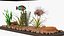 Fish Tank Wooden Long(1)