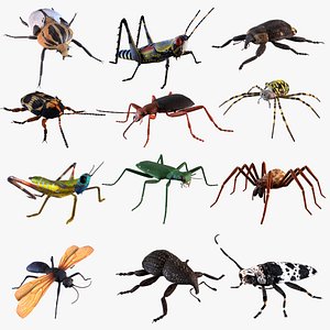 3D 12 Insects pack model
