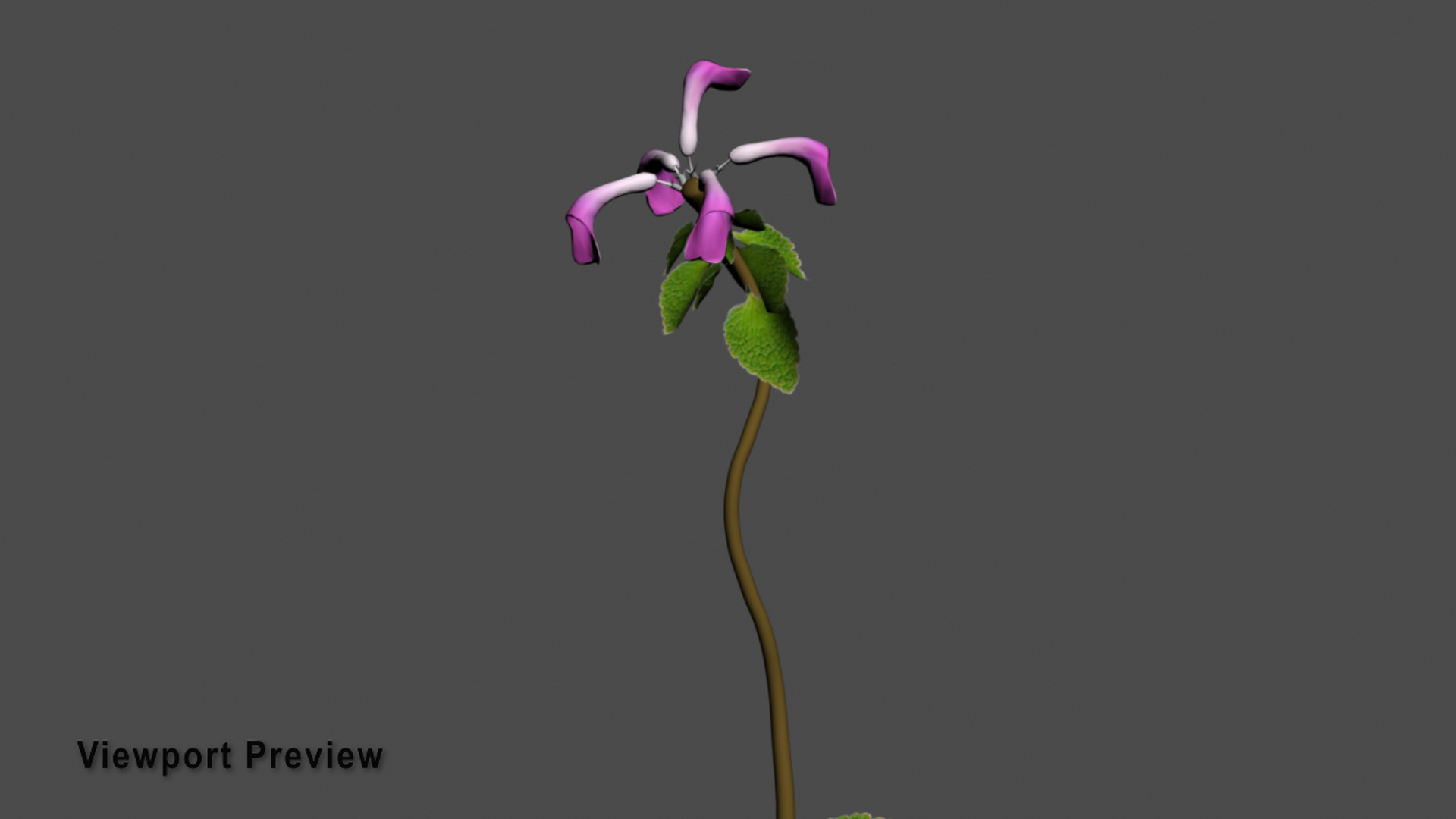 3D Flowers Open Animation Model - TurboSquid 1589298