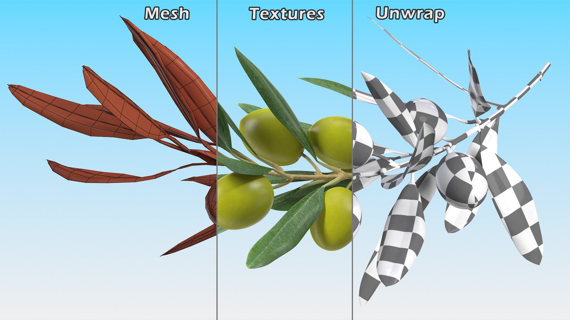 3D Olive Branch with Green Olives https://p.turbosquid.com/ts-thumb/DU/Ygy0B3/hH/olivebranchwithgreenolivesmb3dmodel013/jpg/1660662732/1920x1080/fit_q87/3cfb6185a7d17f1c24a8219704c35e41d4828b6f/olivebranchwithgreenolivesmb3dmodel013.jpg