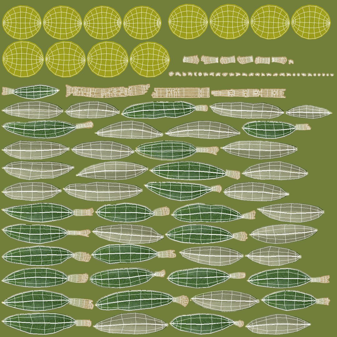 3D Olive Branch with Green Olives https://p.turbosquid.com/ts-thumb/DU/Ygy0B3/nh/olivebranchwithgreenolivesmb3dmodel016/jpg/1660662743/1920x1080/fit_q87/379c87501c75f24fecbfc704d485d087926a4e46/olivebranchwithgreenolivesmb3dmodel016.jpg