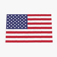 U.S. Flag 02
