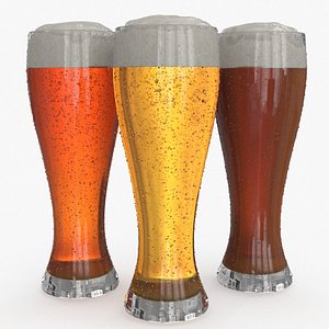 3D Beer Glass 3D model