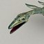 3d plesiosaurus rigged model