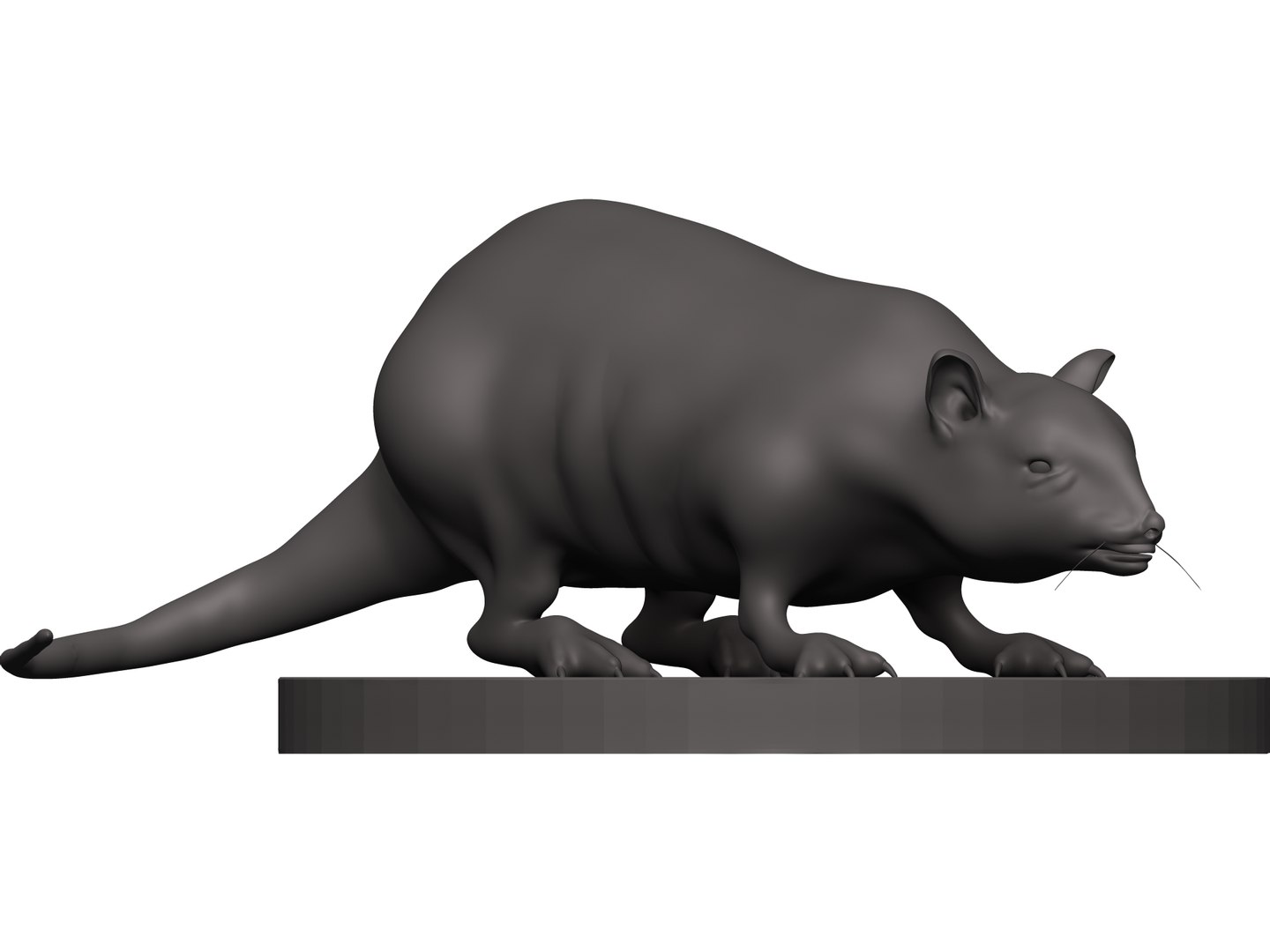 3D Realistic Rat - TurboSquid 1874396