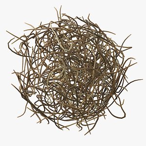 3D Cartoon Tumbleweed 03