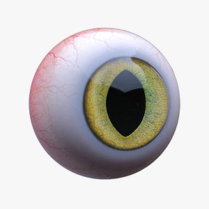Realistic Cat Eye Rigged Shape Keys 3D model