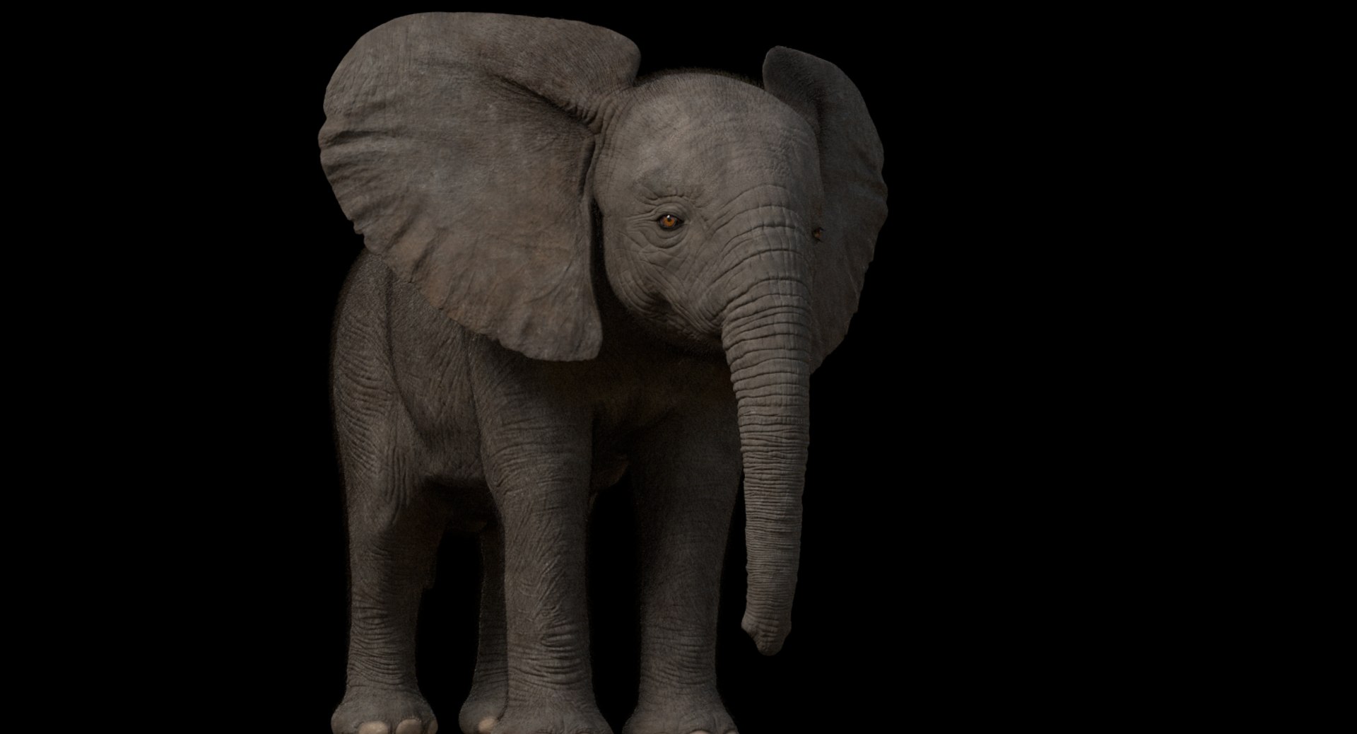 3d model african elephant baby rigged https://p.turbosquid.com/ts-thumb/DV/8aZqCI/0qnSLLDl/shots00001/jpg/1450687980/1920x1080/fit_q87/d01d9814cd6491fb33b04ceb2003b07ba2c72e33/shots00001.jpg