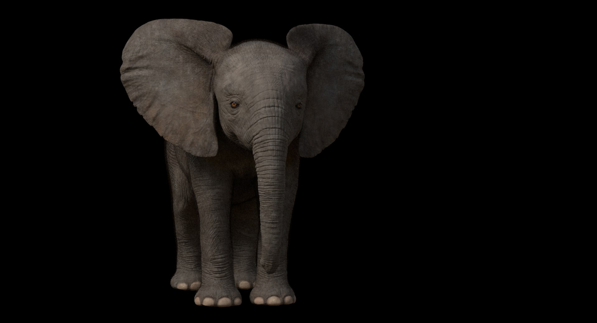 3d model african elephant baby rigged https://p.turbosquid.com/ts-thumb/DV/8aZqCI/1YPiUane/shots00017/jpg/1450687981/1920x1080/fit_q87/8c9328b4d67cde1331ef83a3b4a32bcb300c7be8/shots00017.jpg