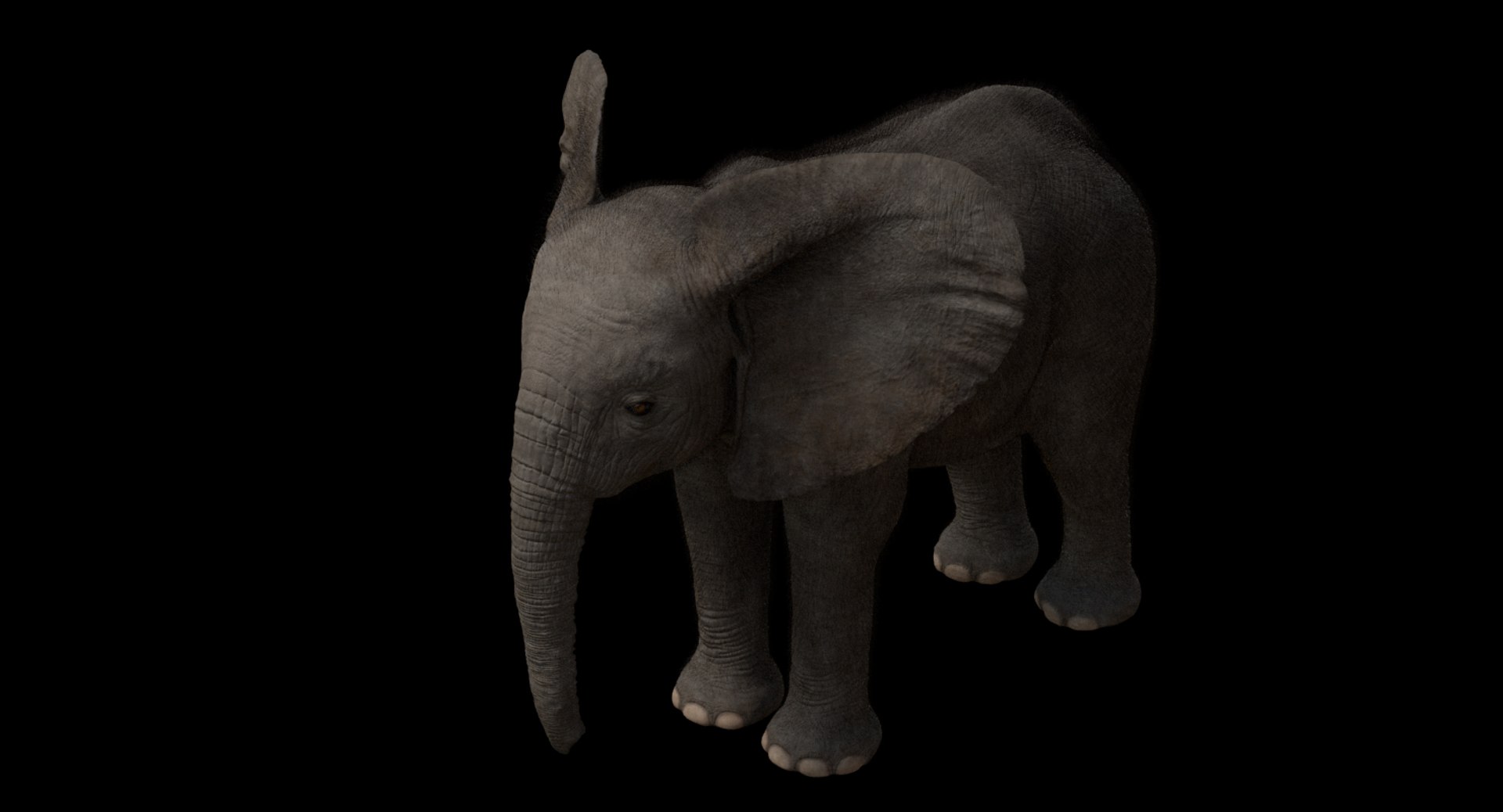 3d model african elephant baby rigged https://p.turbosquid.com/ts-thumb/DV/8aZqCI/3LZr0yvi/shots00015/jpg/1450687981/1920x1080/fit_q87/551273bbf80d0791720f934f96aa05b101657221/shots00015.jpg