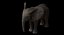 Bebê de elefante africano costurado