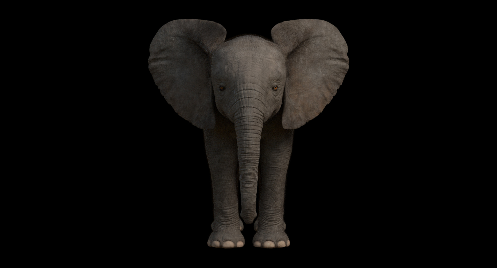 3d model african elephant baby rigged https://p.turbosquid.com/ts-thumb/DV/8aZqCI/3nBYbX5c/turn/jpg/1450681993/1920x1080/turn_fit_q99/66c7ffbfbd6c663e481c61f948f1fa43d2540ad6/turn-1.jpg