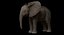 Bebê de elefante africano costurado