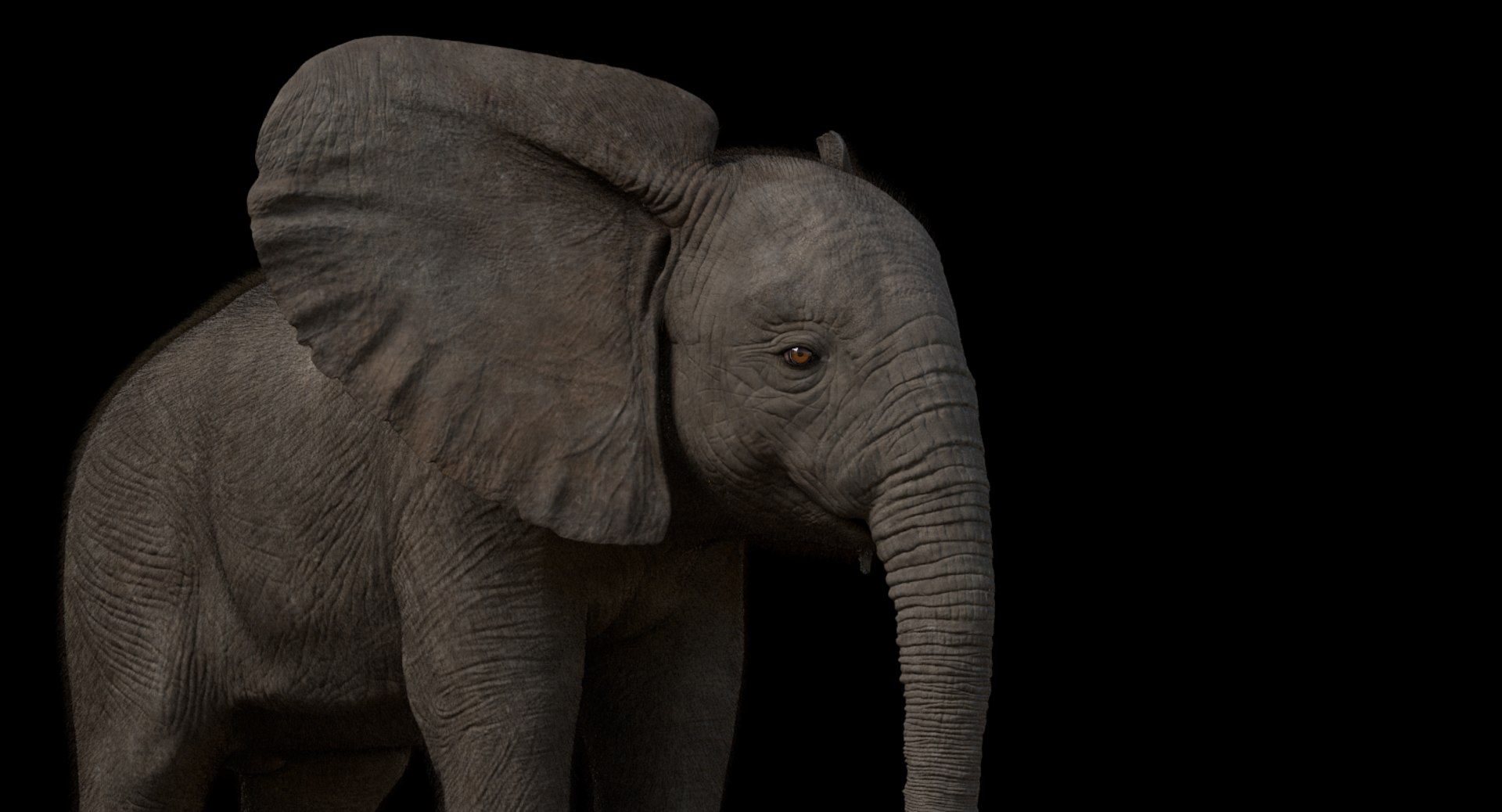 3d model african elephant baby rigged https://p.turbosquid.com/ts-thumb/DV/8aZqCI/9A1bkiQ5/shots00005/jpg/1450687980/1920x1080/fit_q87/17937e7949b21d16b0489f6b2b071a5e1f805ff8/shots00005.jpg