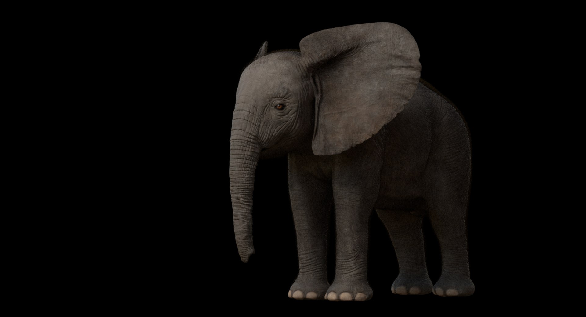 3d model african elephant baby rigged https://p.turbosquid.com/ts-thumb/DV/8aZqCI/9Zz3SnsS/shots00016/jpg/1450687981/1920x1080/fit_q87/75de3e087960a987428875bcc124e33e3eba011d/shots00016.jpg