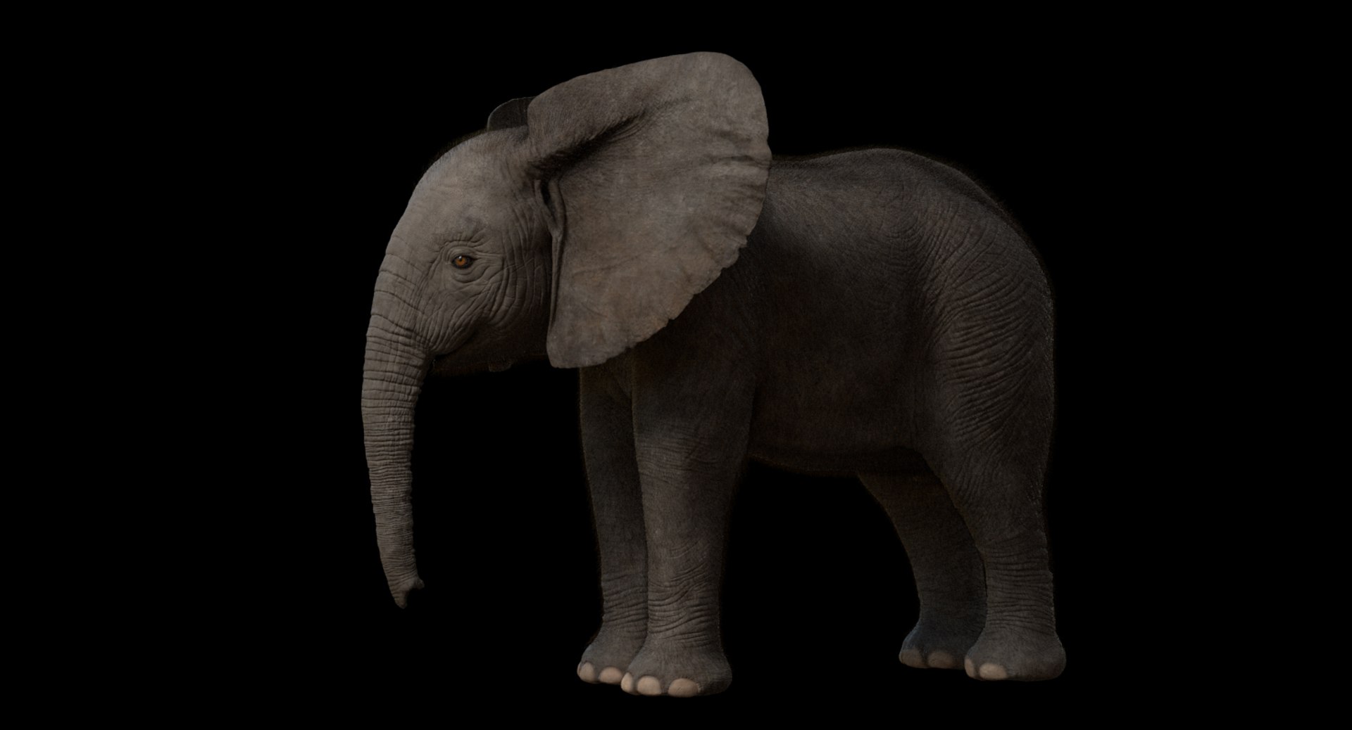 3d model african elephant baby rigged https://p.turbosquid.com/ts-thumb/DV/8aZqCI/D3jdriws/shots00010/jpg/1450687981/1920x1080/fit_q87/506209ee4a5bb466007c5b8cacc10599d686cd33/shots00010.jpg