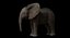 Bebê de elefante africano costurado