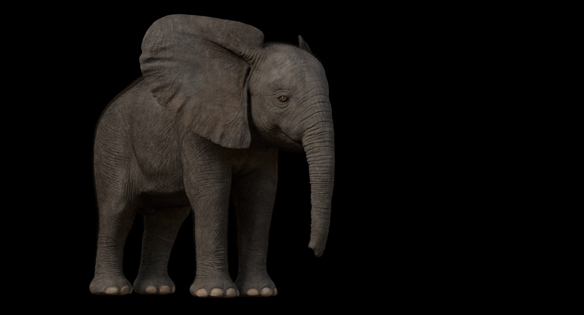 3d model african elephant baby rigged https://p.turbosquid.com/ts-thumb/DV/8aZqCI/OZULOwDX/shots00018/jpg/1450687981/1920x1080/fit_q87/a8e21e1805dc5cf8a2db48595cc07e2286601aa1/shots00018.jpg
