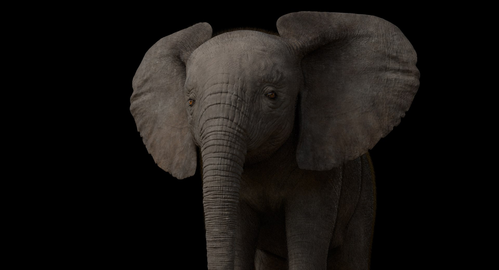 3d model african elephant baby rigged https://p.turbosquid.com/ts-thumb/DV/8aZqCI/WlkUeuMO/shots00004/jpg/1450687980/1920x1080/fit_q87/6c4293443827c6be80306ef834007be7b2b8a3f2/shots00004.jpg