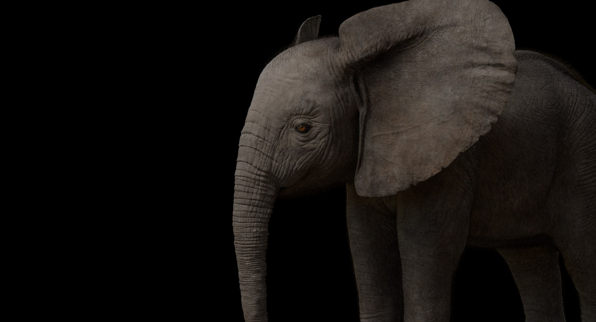 3d model african elephant baby rigged https://p.turbosquid.com/ts-thumb/DV/8aZqCI/b2SzDqRL/shots00019/jpg/1450687981/1920x1080/fit_q87/c56bfe6f2f31c0959e0b4f88b1818bac3b098079/shots00019.jpg