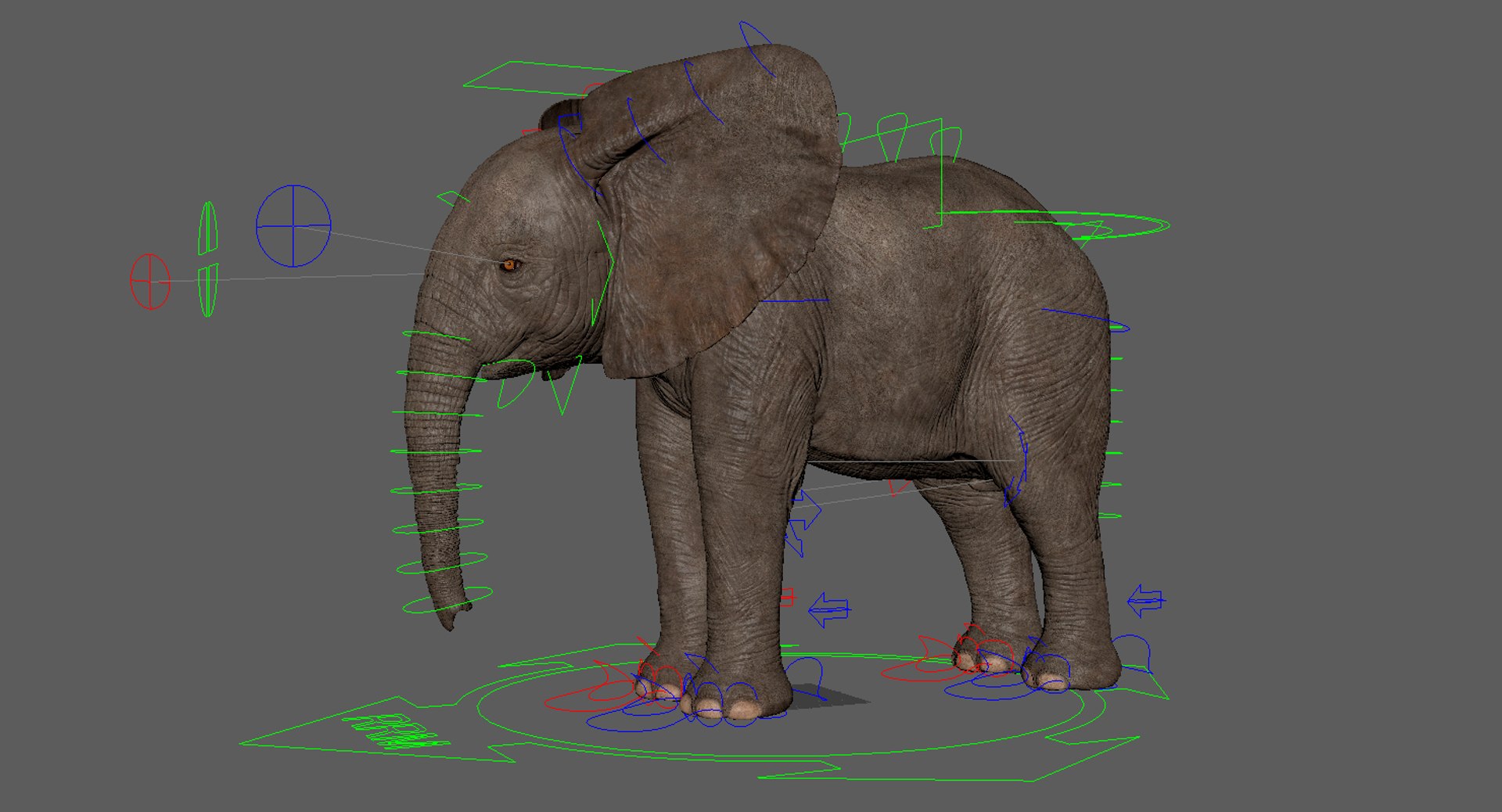 3d model african elephant baby rigged https://p.turbosquid.com/ts-thumb/DV/8aZqCI/d6ThQTQe/rig/jpg/1450688989/1920x1080/fit_q87/4980d8887cd277c94b871993bc458633a317c5b5/rig.jpg