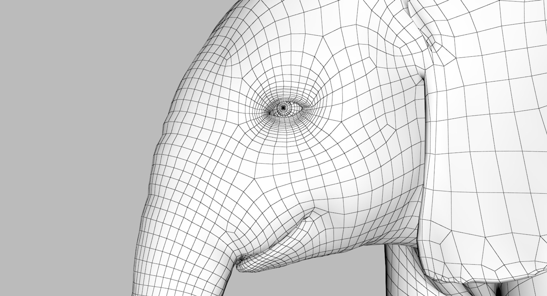 3d model african elephant baby rigged https://p.turbosquid.com/ts-thumb/DV/8aZqCI/fQycDqtV/3/jpg/1450690030/1920x1080/fit_q87/9675dbe65c91cc345d994c16e02d864b65648adb/3.jpg