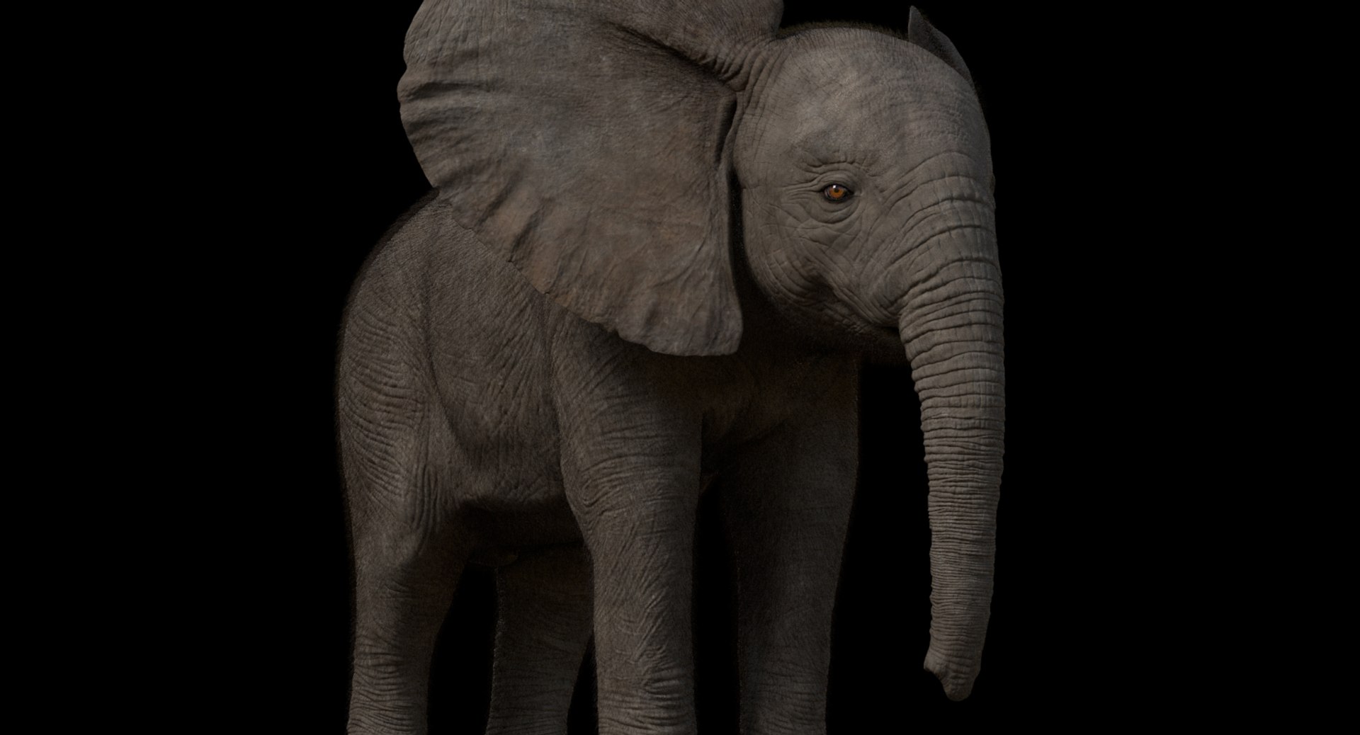 3d model african elephant baby rigged https://p.turbosquid.com/ts-thumb/DV/8aZqCI/fYs2OhuP/shots00003/jpg/1450687980/1920x1080/fit_q87/39f9f2ac4fd7f432cb4a3397af574881dfc97bc7/shots00003.jpg