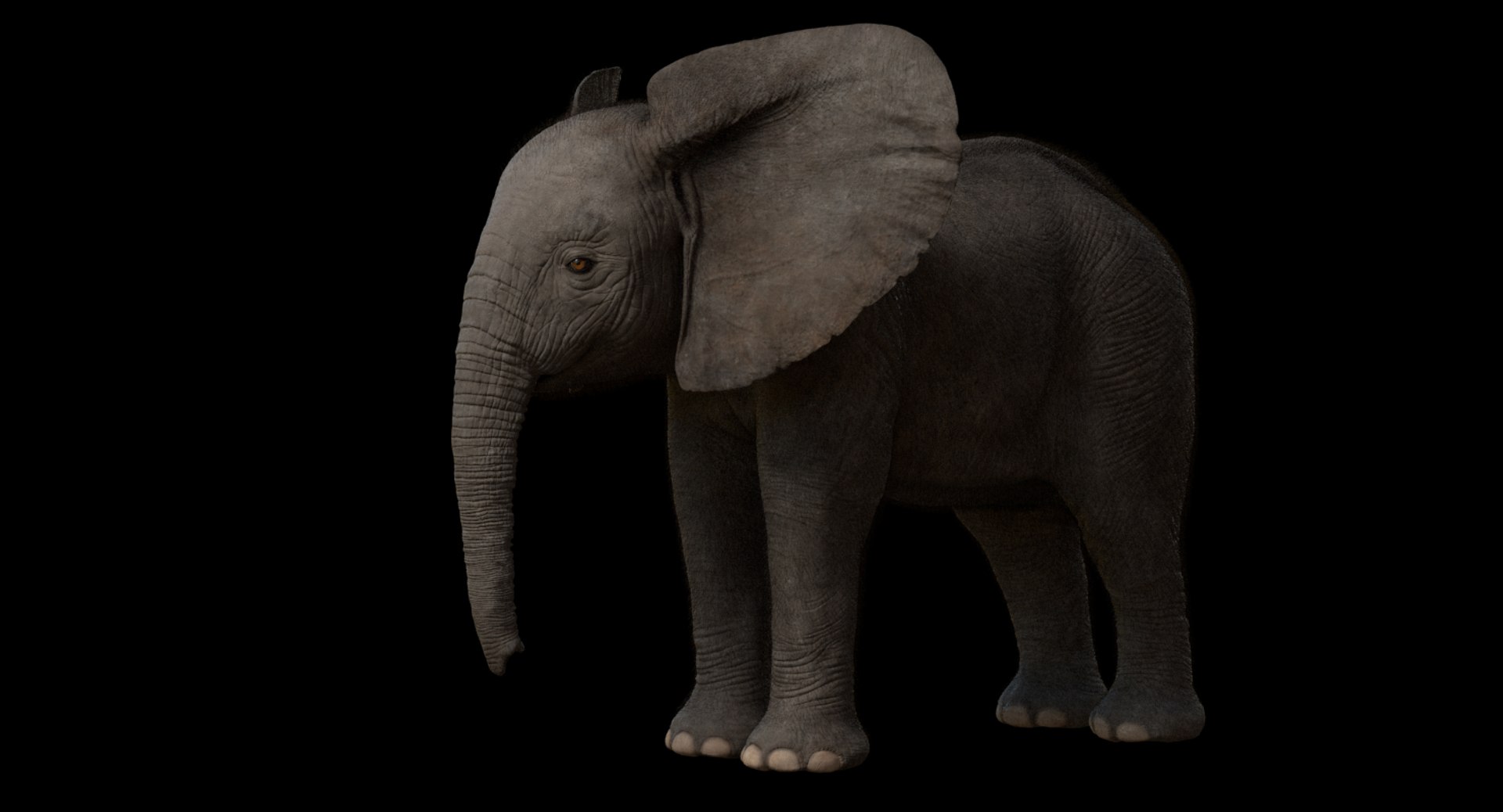 3d model african elephant baby rigged https://p.turbosquid.com/ts-thumb/DV/8aZqCI/itiWPLPC/shots00000/jpg/1450687980/1920x1080/fit_q87/4ab0b7b832b542be38120a0826f1ae3719cb19e4/shots00000.jpg