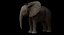 Bebê de elefante africano costurado