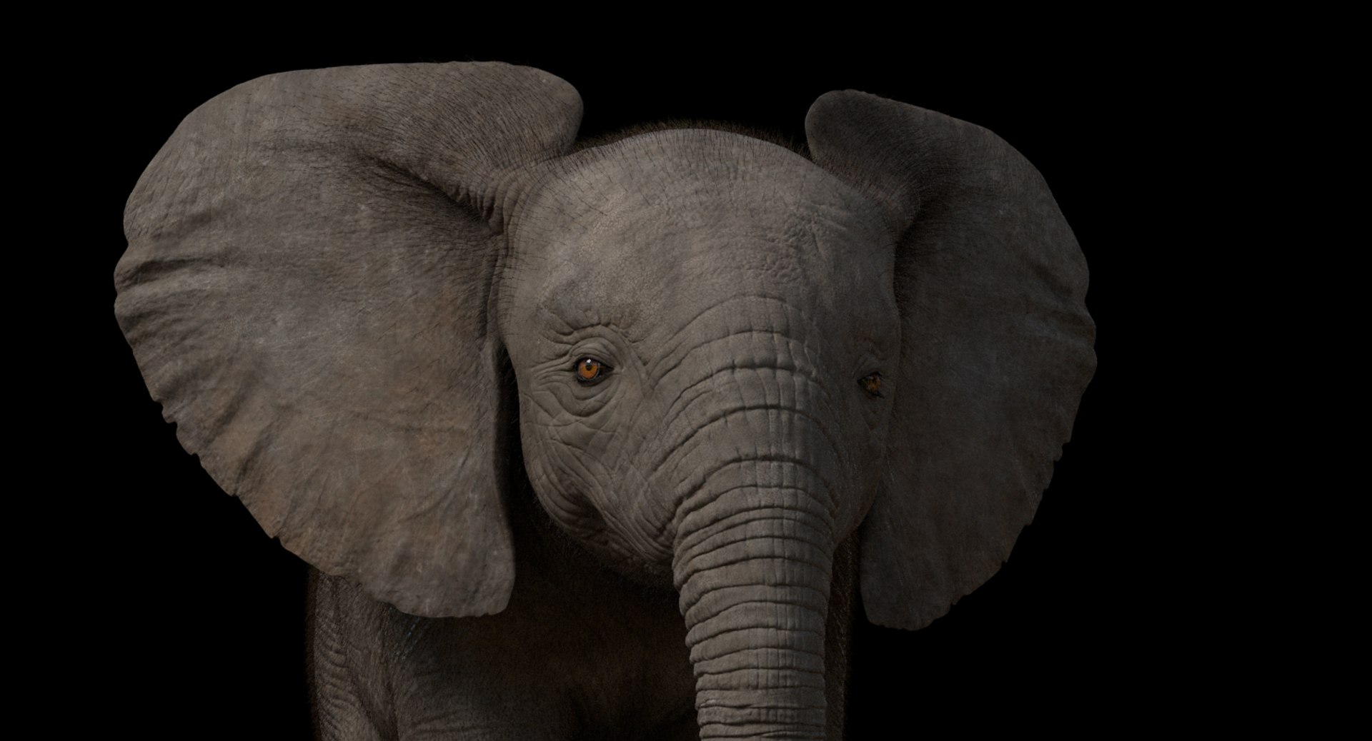 3d model african elephant baby rigged https://p.turbosquid.com/ts-thumb/DV/8aZqCI/lxPgoePZ/shots00013/jpg/1450687981/1920x1080/fit_q87/b21666e4d0f4ae916b49229e56e7891b2f3e7c04/shots00013.jpg