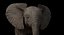 Bebê de elefante africano costurado